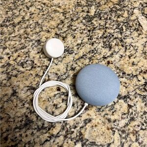 Google Nest Mini